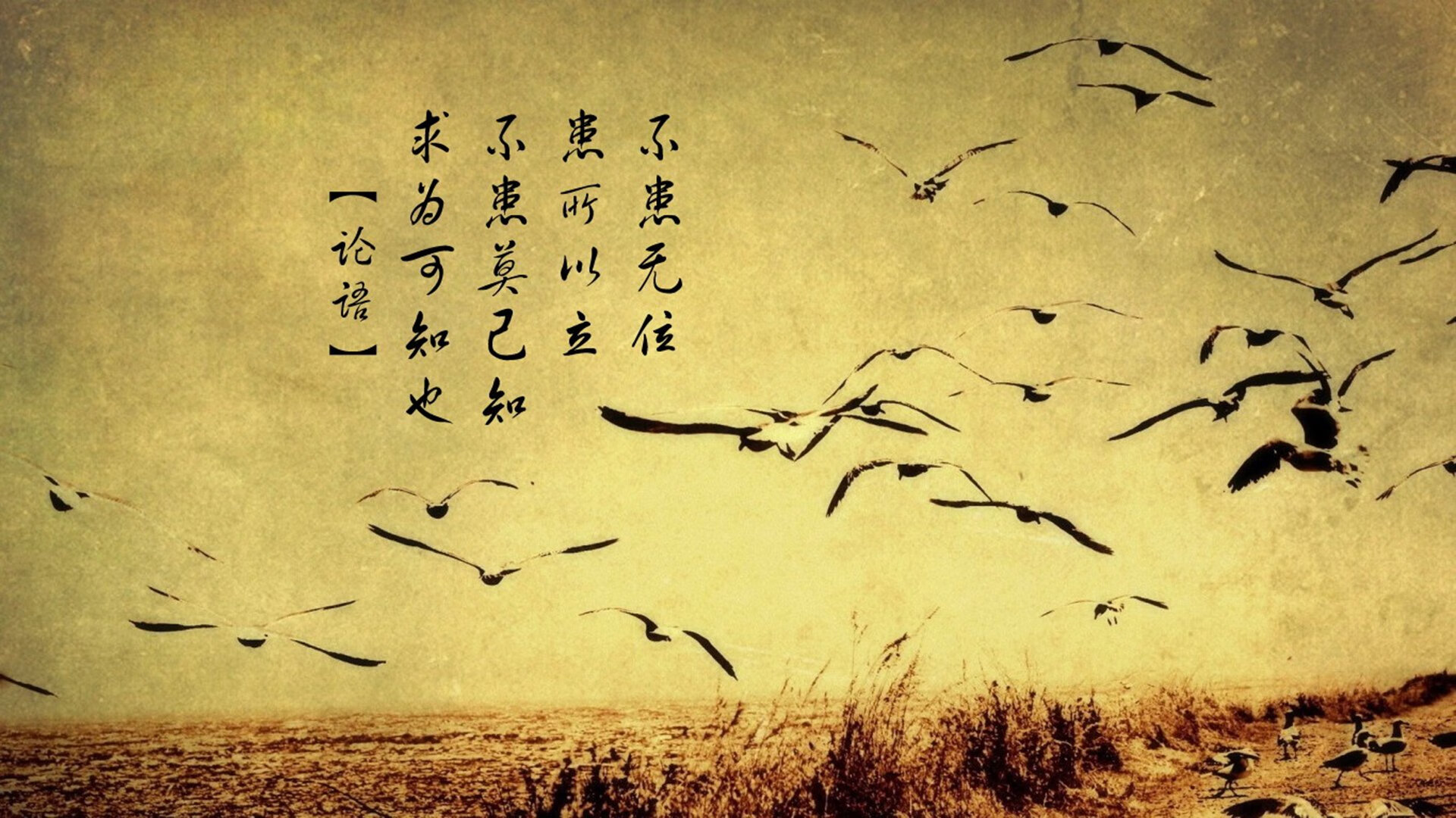 爱游戏体育(AYX)官方APP下载-《2025英雄联盟全球总决赛,最强战队终极较量》,2030年英雄联盟全球总决赛