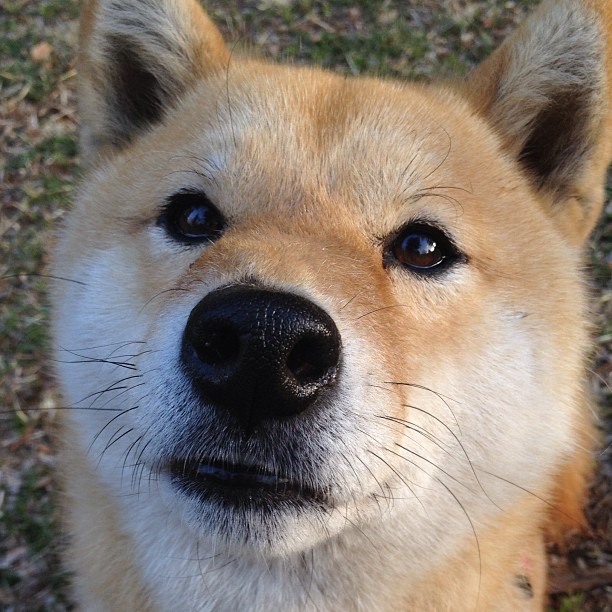 爱游戏综合娱乐-_公牛绝地反击，末节逆袭雷霆_，公牛40秒超级逆转