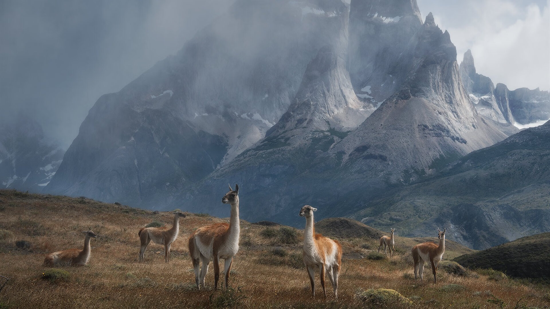 爱游戏 电竞-“最后一击定乾坤——全场焦点瞬间，燃爆全场”，最后一击歌词