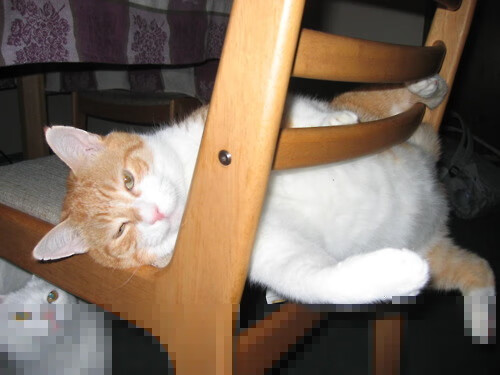 爱游戏综合娱乐-“足球明星李明西进,开启新一季征程”,李明 足球妻子