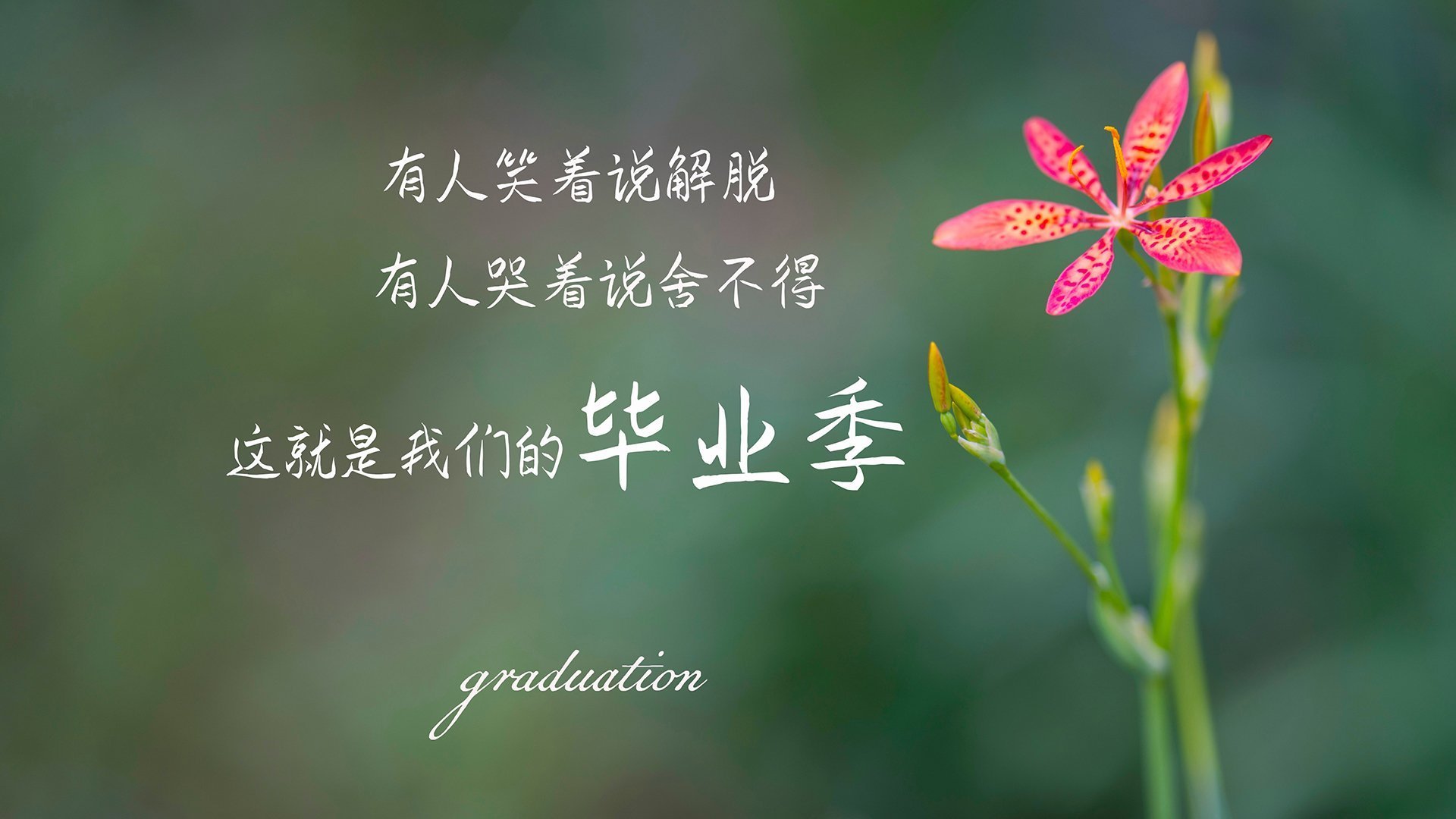 AYX SPORTS-《守望先锋全球锦标赛,策略博弈精彩纷呈》,守望先锋锦标赛赛制