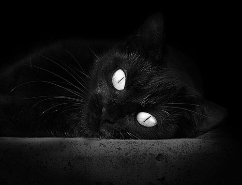 AYX体育官网-【战术创新】球队如何利用新规则取得优势,球队规章制度