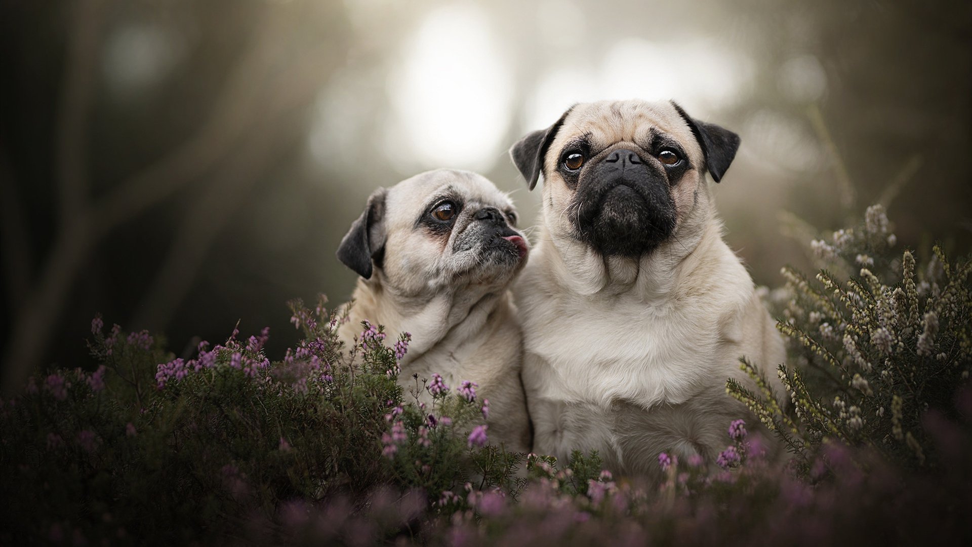 爱游戏娱乐网址-场馆升级:打造更专业的台球比赛空间,台球厅场地
