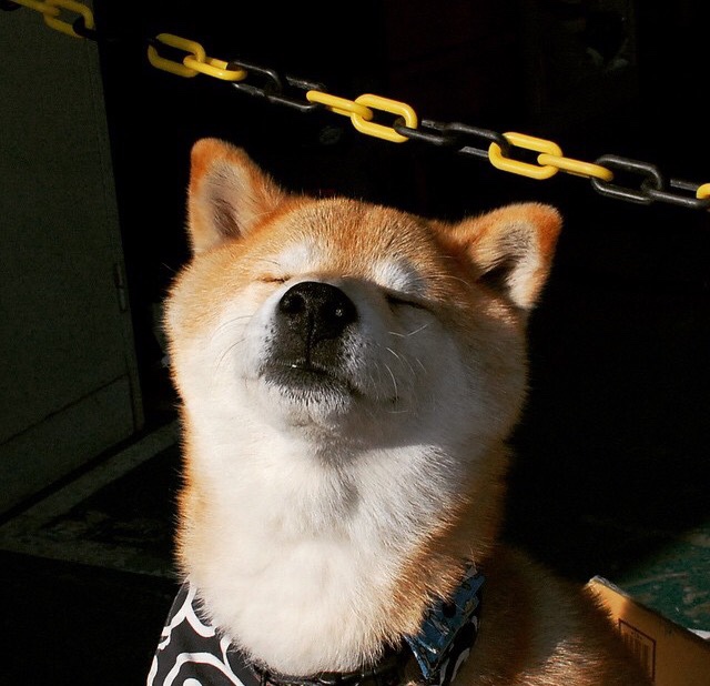 爱游戏体育（AYX）官方APP下载-全国跆拳道冠军挑战赛，技艺与勇气的试炼，全国跆拳道比赛实战视频