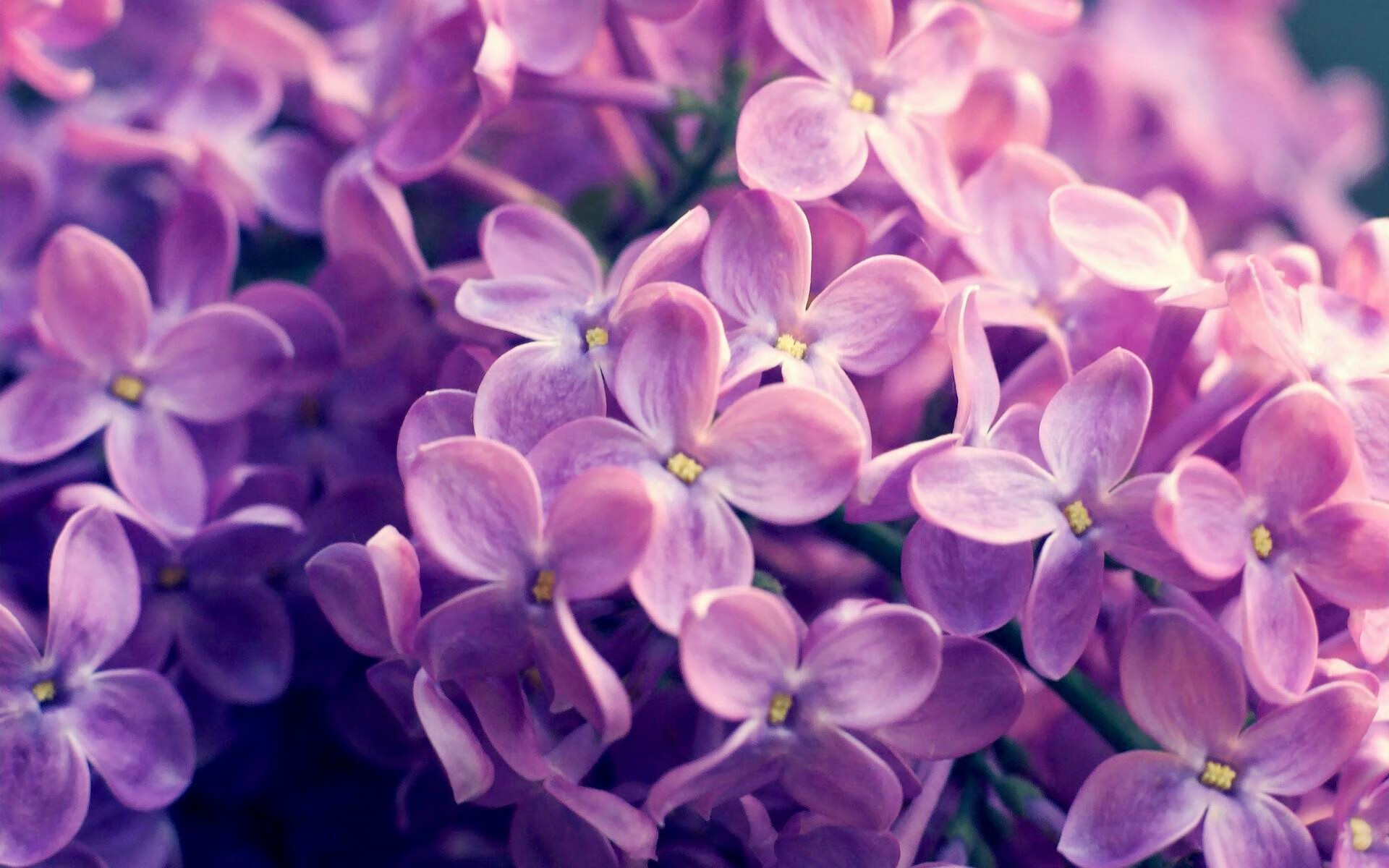 爱游戏体育（AYX）官方APP下载-各国代表团快讯：最新战况一览，各国家代表