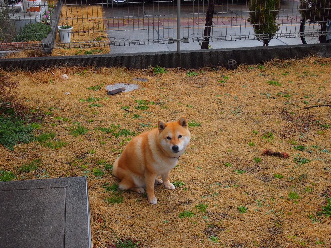 爱游戏app-夜空下的高空秋千体验,挑战勇气的极限,高空秋千在哪里