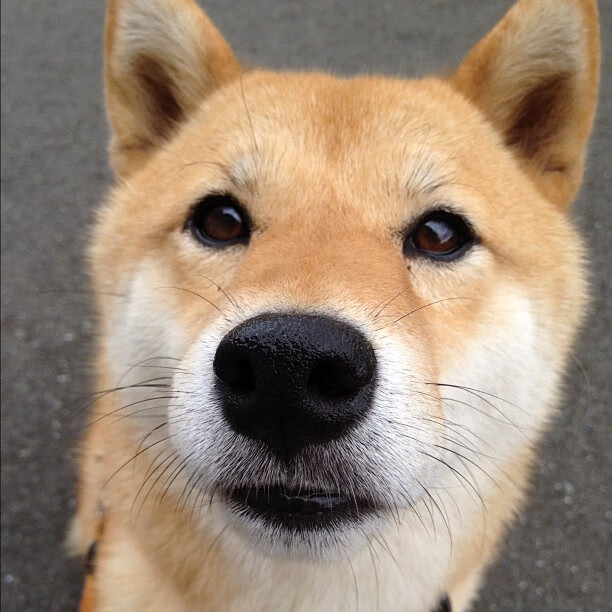 爱游戏体育APP下载-篮球场馆智能管理系统效率显著提升，篮球场智能化运营方案