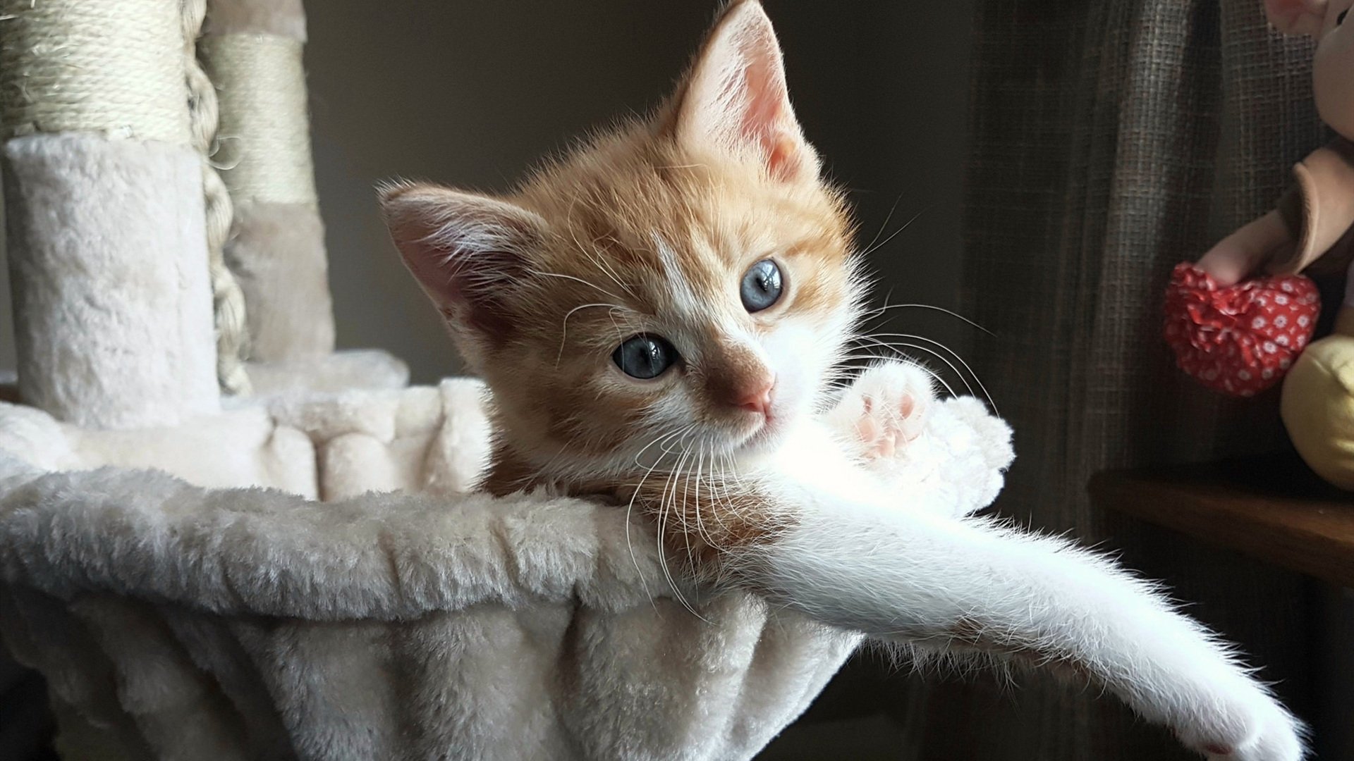 AYX SPORTS-西甲凉风习习,争冠战局逐步明朗,西甲爆冷规律