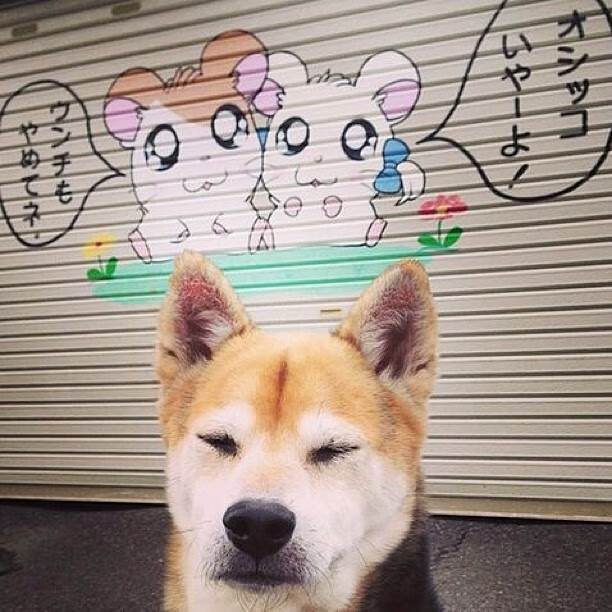 爱游戏下载-足球俱乐部引入资本合作,行业竞争格局逐渐变化,足球俱乐部的盈利模式