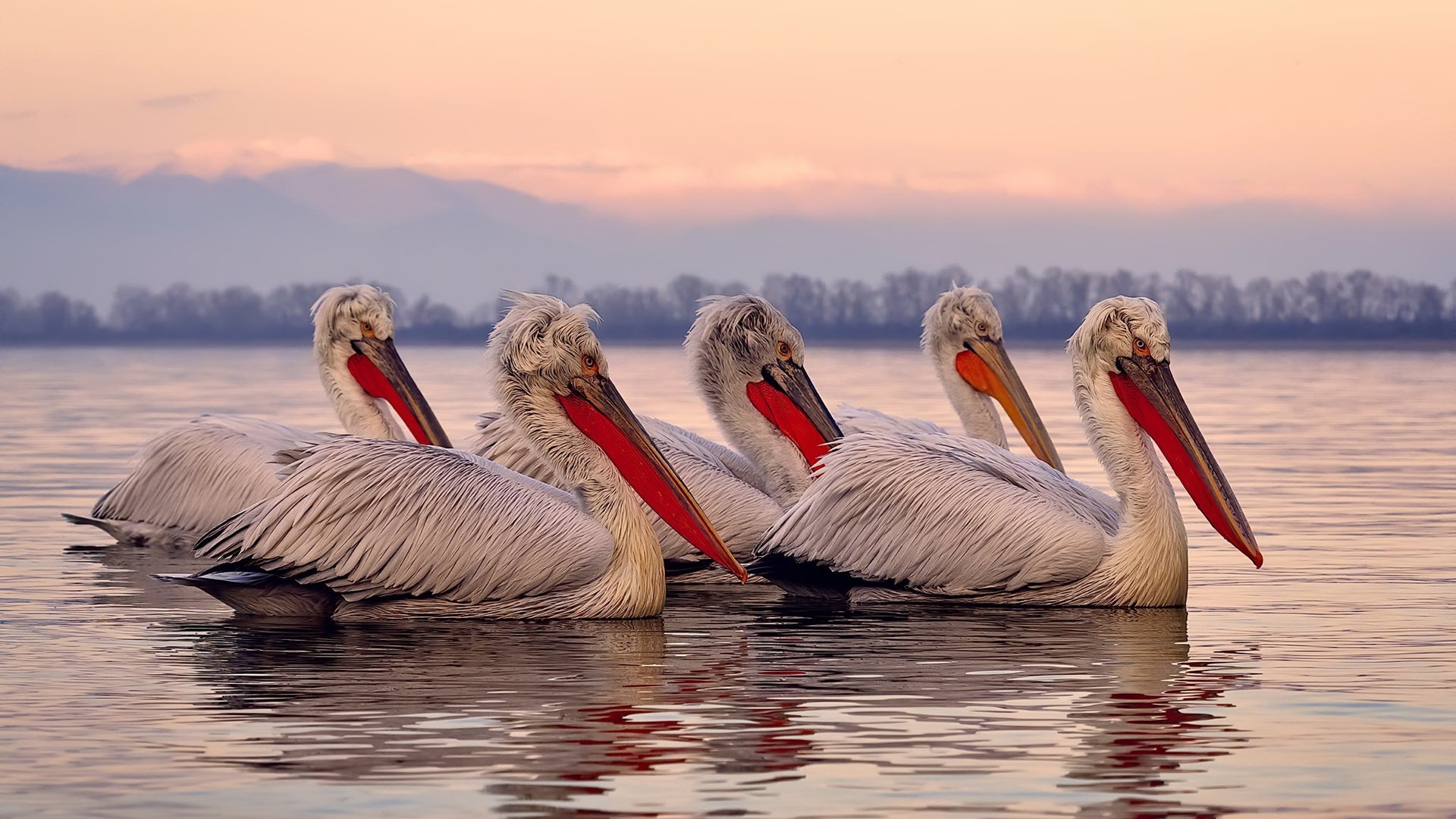 爱游戏体育app-精英PK:联盟中最值得关注的天赋对决,联盟天赋名称