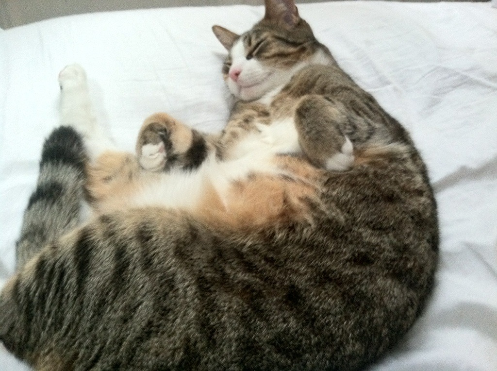 爱游戏综合娱乐-东亚球队迎战西亚对手，一触即发激烈对决，东亚和西亚足球