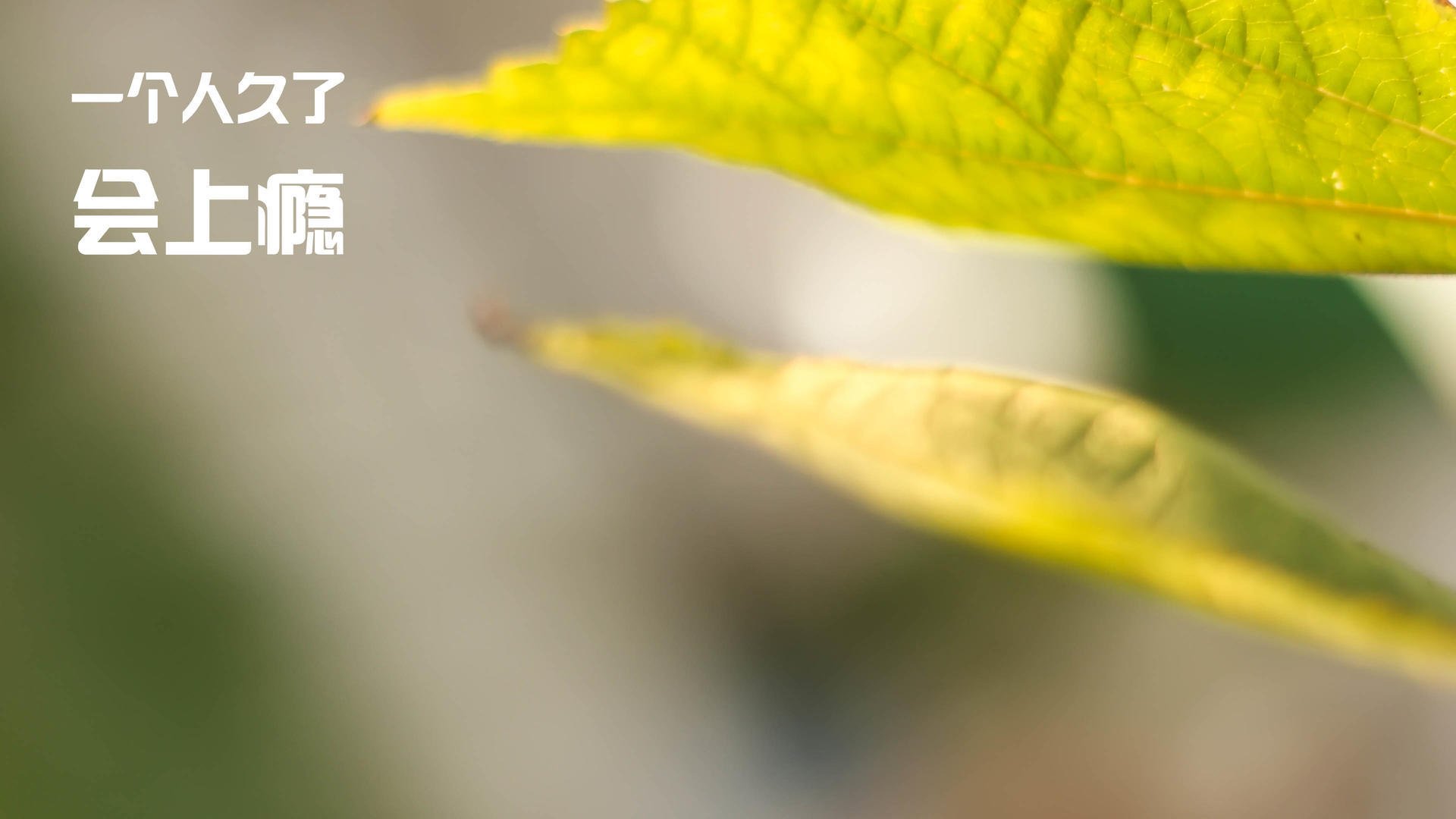 AYX SPORTS-圣日耳曼客场表现迟滞，盼主场反弹，圣日耳曼足球