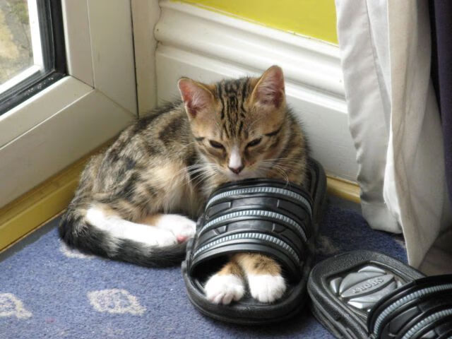 爱游戏在线登录入口-中超球队战术灵活多变,比赛精彩纷呈,中超比赛分析