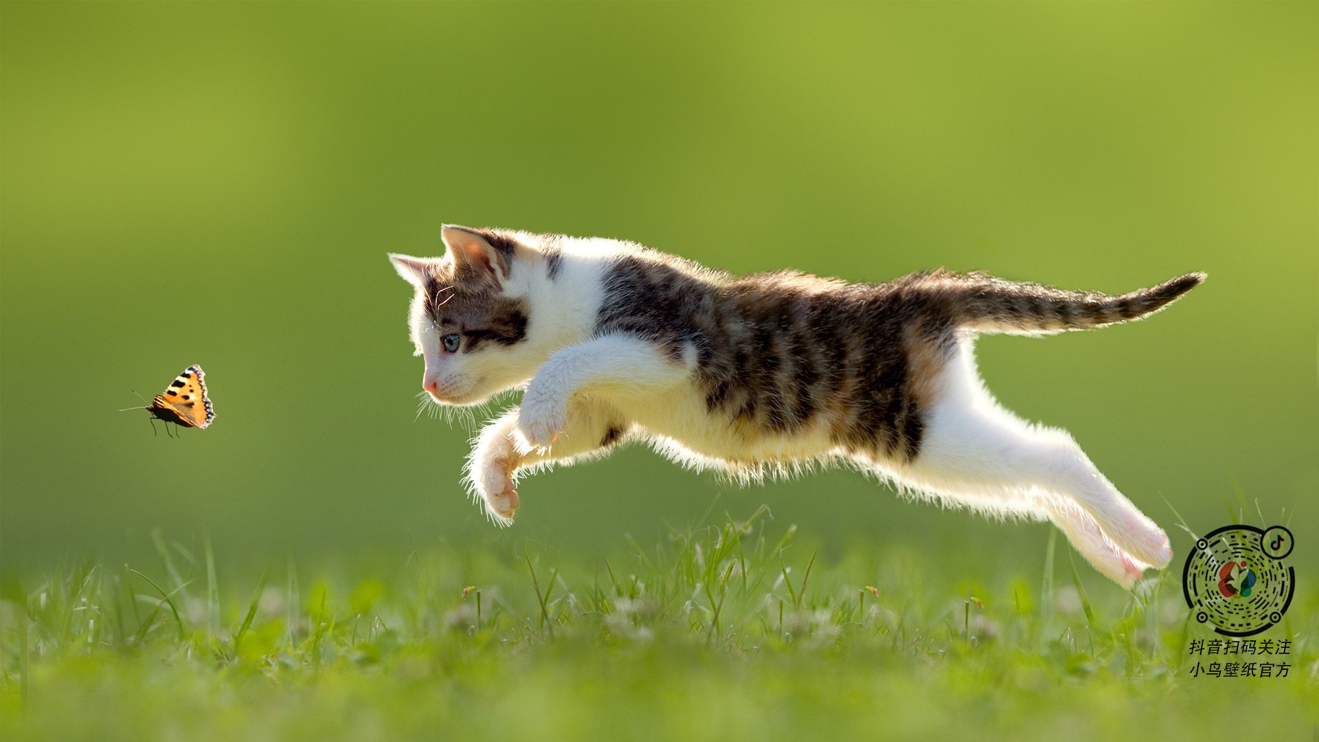 爱游戏中国官方登录入口网站-临时签约是否可用作应急策略,临时协议书范本