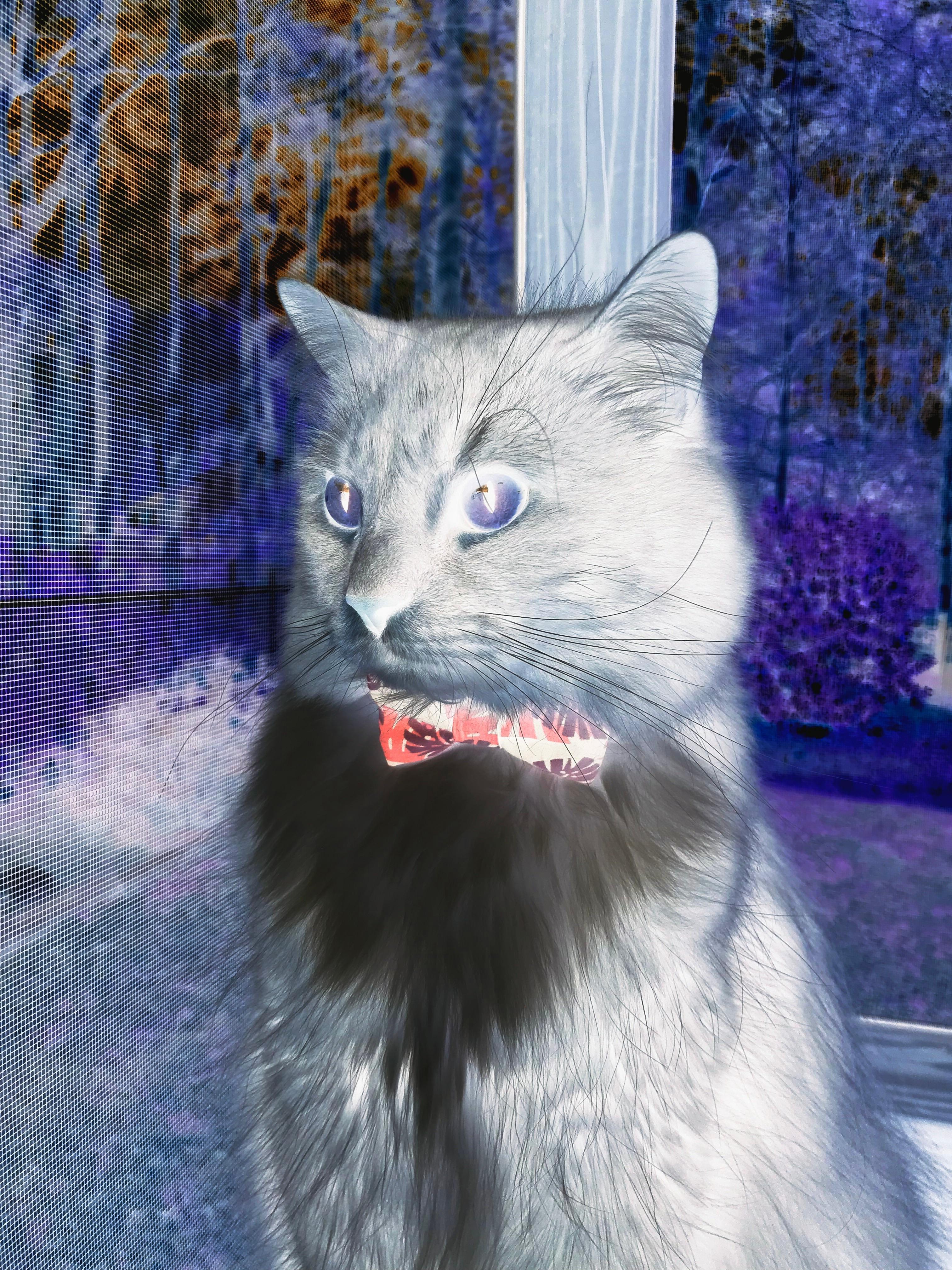 AYX体育-青少年篮球训练数据分析,青少年篮球比赛训练计划