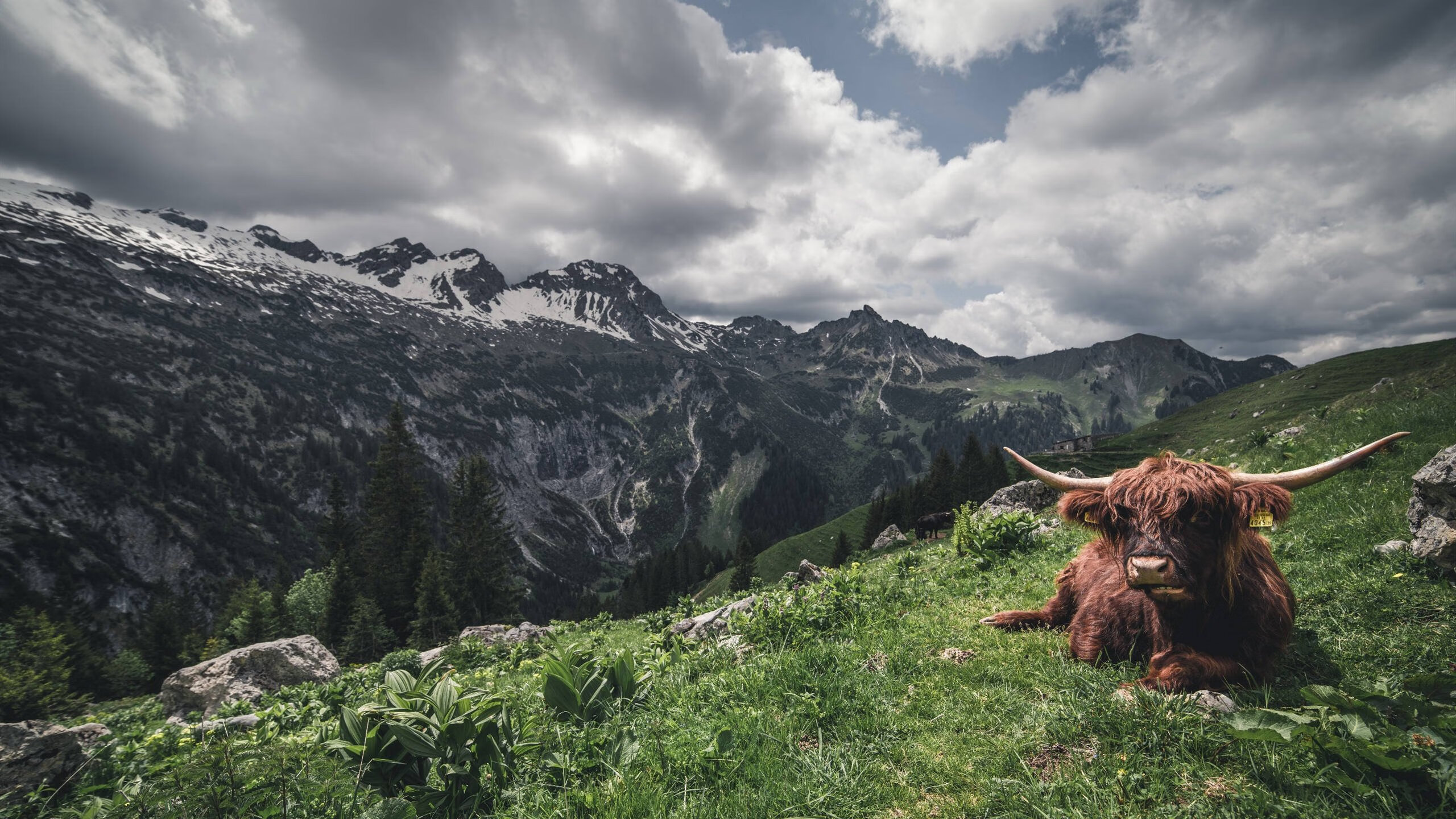 爱游戏中国官方登录入口网站-德甲球队利用神经反馈提升球员专注力和反应速度
