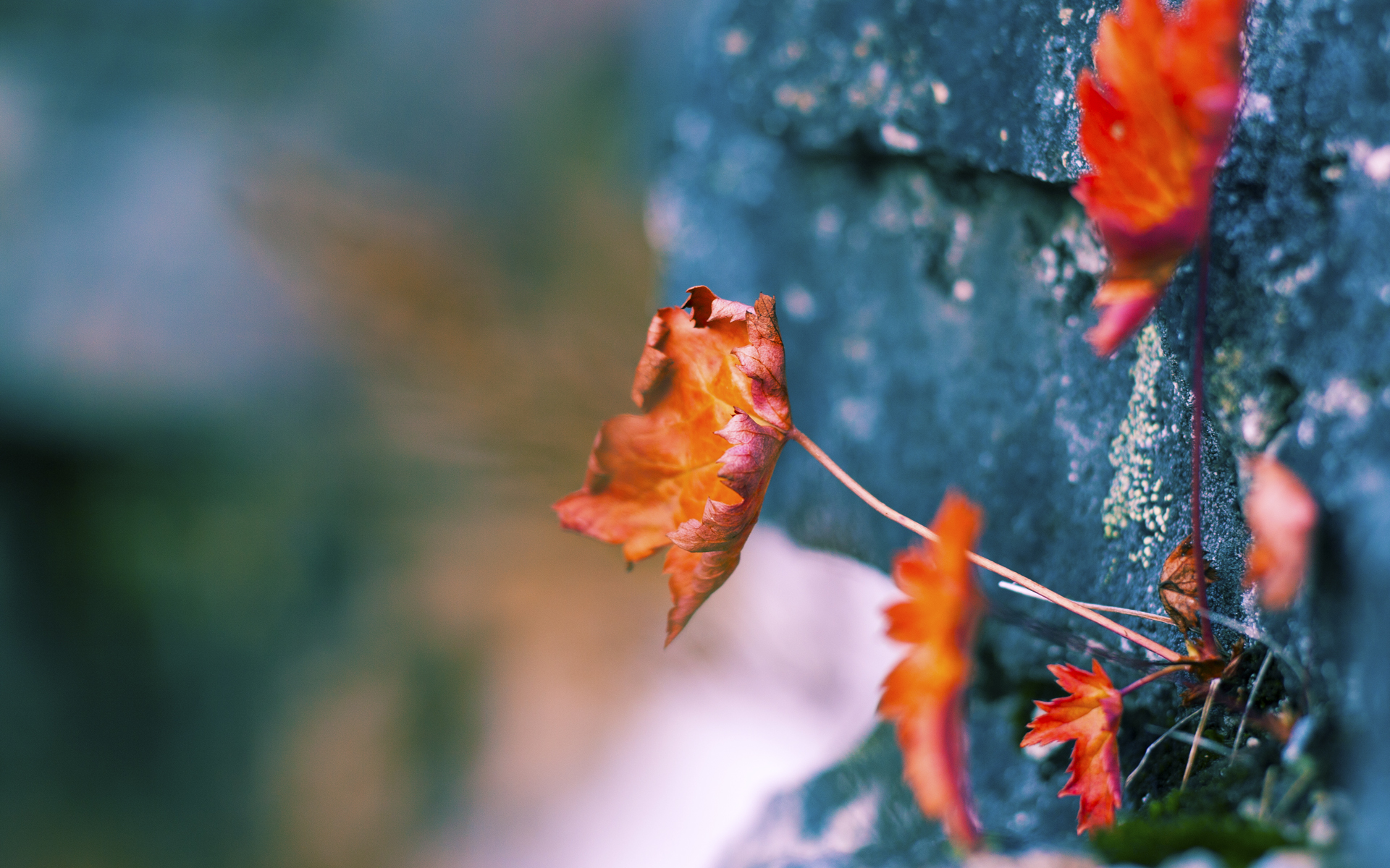 爱游戏下载-巴特勒带队热火强势反弹