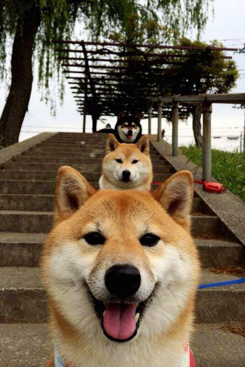 AYX官网-中国男篮备战世界杯状态稳定，中国男篮世界杯预选赛战绩