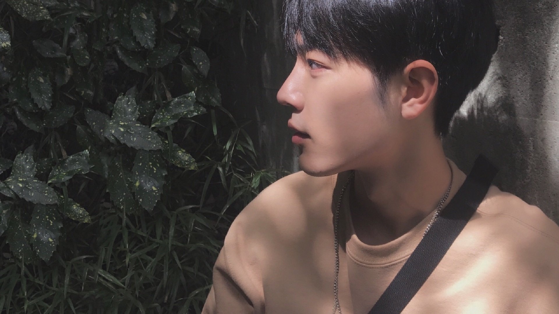 爱游戏官方-世界青少年攀岩技能大赛在上海盛大举行,众少年展风采,2020年全国青少年攀岩锦标赛