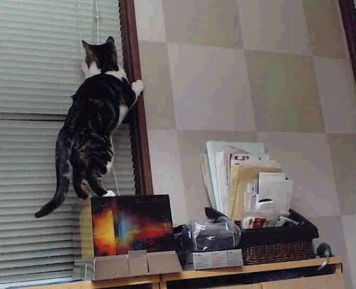 爱游戏app-中国足球关键传球手表现评分,足球传球种类