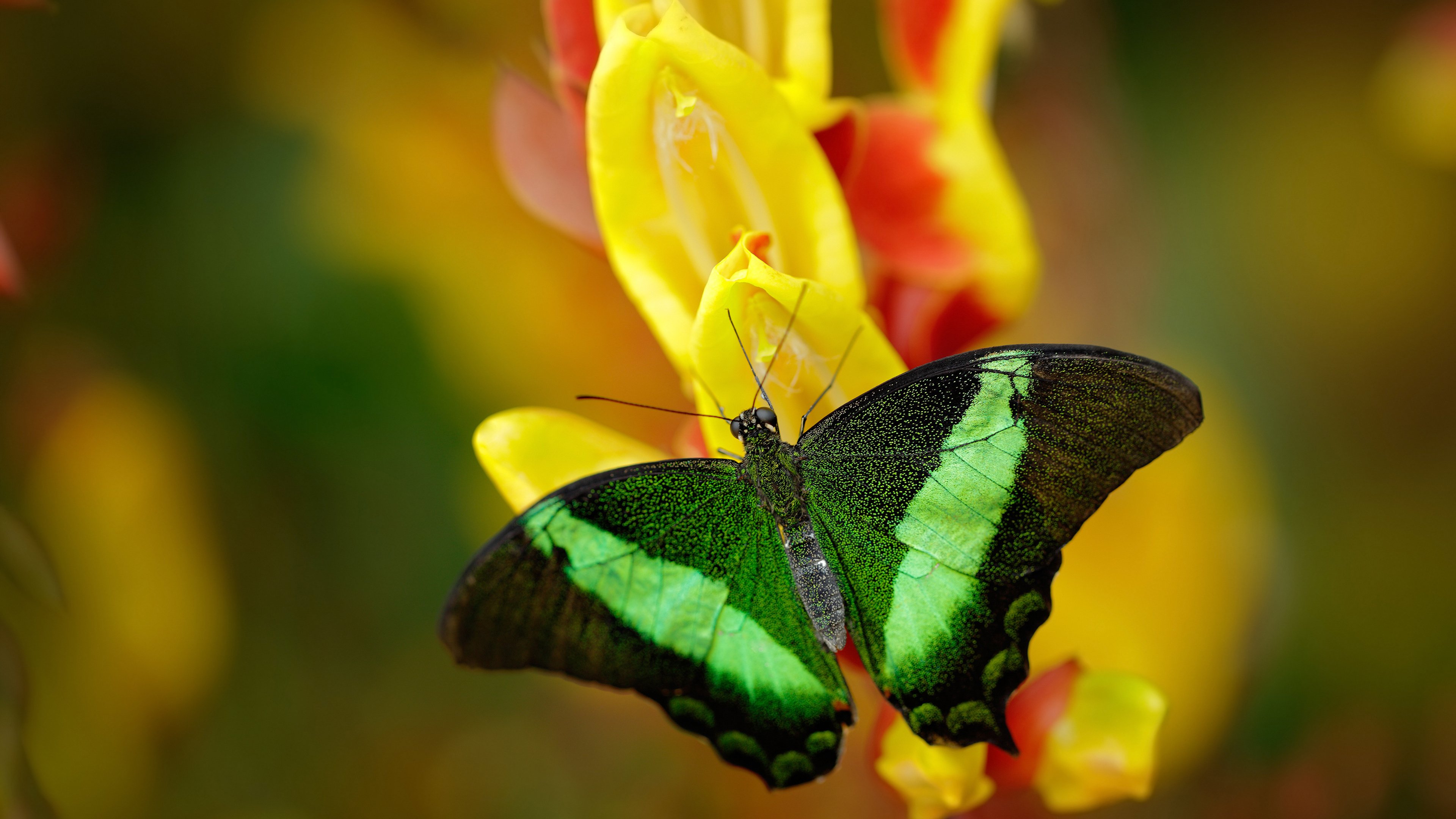 爱游戏app-中国足球关键传球手表现评分,足球传球种类