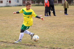 AYX体育官网-体育旅游:足球赛季带动旅游热潮分析,足球景区