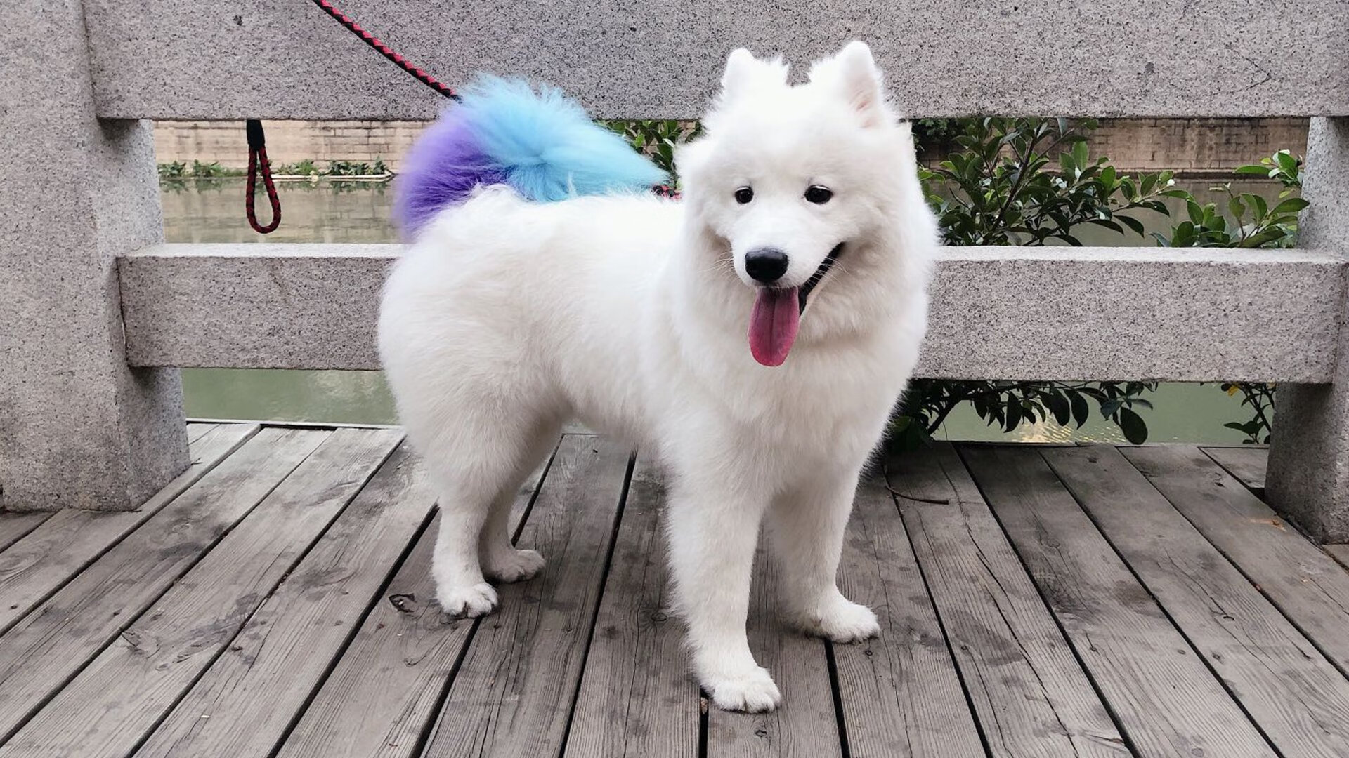 详细阅读:爱游戏官方网站-体育道德引发广泛讨论,论体育道德的重要性 爱游戏官方网站-体育道德引发广泛讨论,论体育道德的重要性