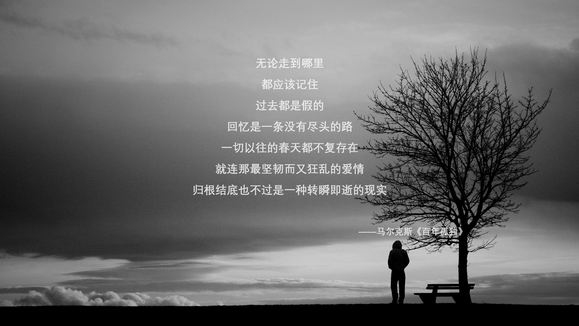 AYX体育-南非橄榄球赛事的商业化操作促进国际影响力扩张,南非橄榄球冠军