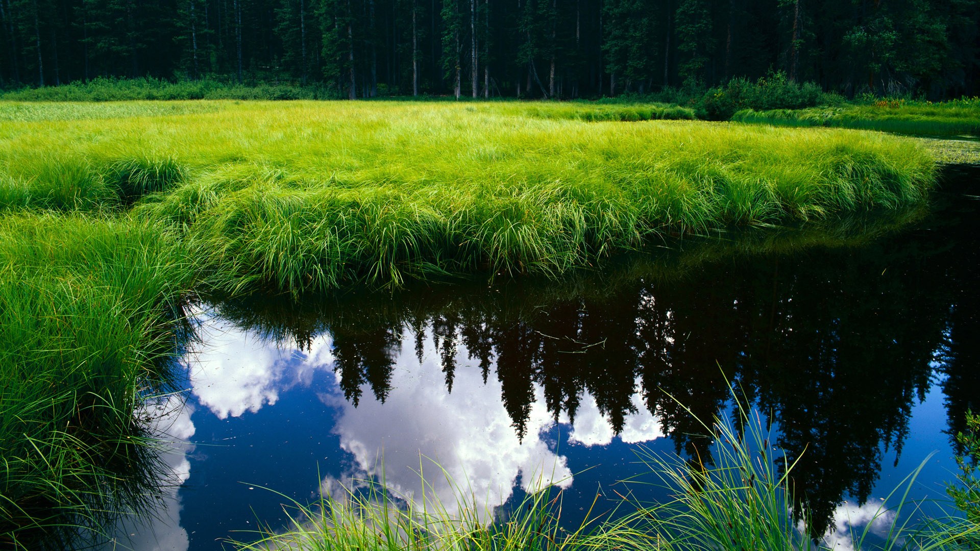 爱游戏中国官方登录入口网站-篮球运动员营养与体能恢复策略,篮球运动员的营养重点是