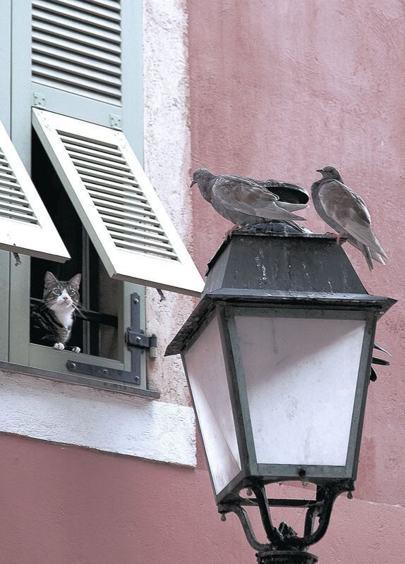 AYX SPORTS-运动训练数据可视化平台设计与评估研究,运动数据监测