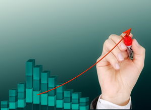 爱游戏-高校运动康复训练技术发展与应用,运动康复技术学