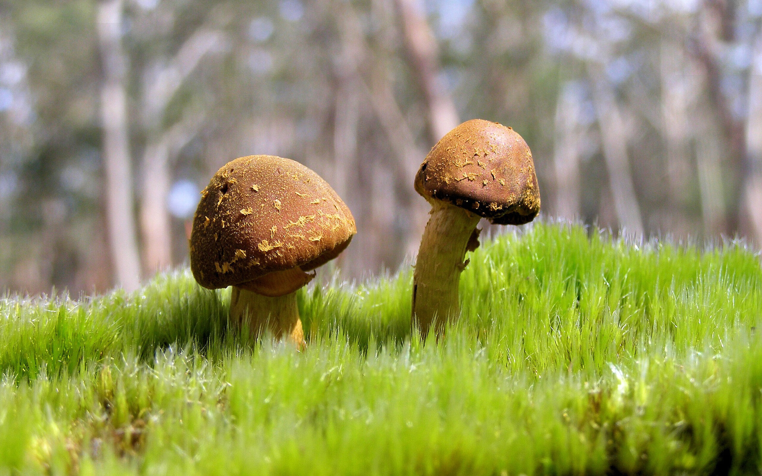 爱游戏下载-印度队2024年世界杯:强攻与反击相结合,技战术不断优化,印度参加世界杯预选赛了吗